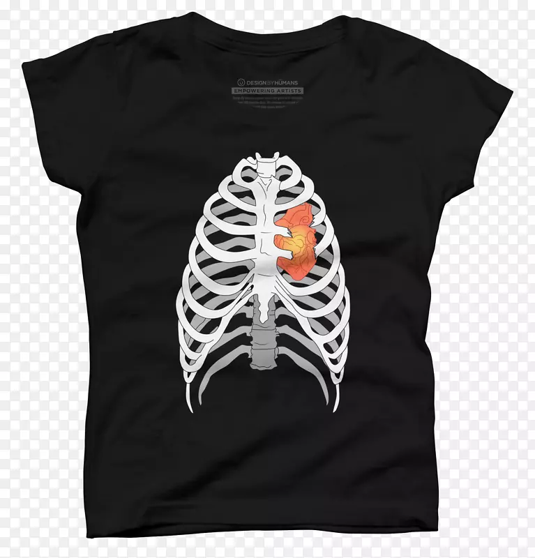 T�����������صİ�������-t��-������