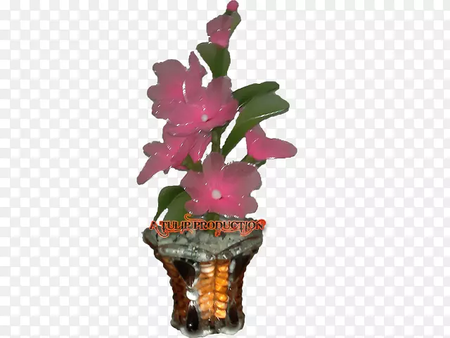 ���迪��ֲ������ֲ�����-��-������