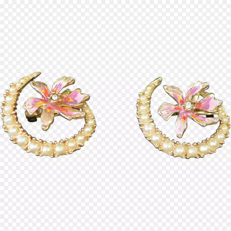 �������������.�鱦-������