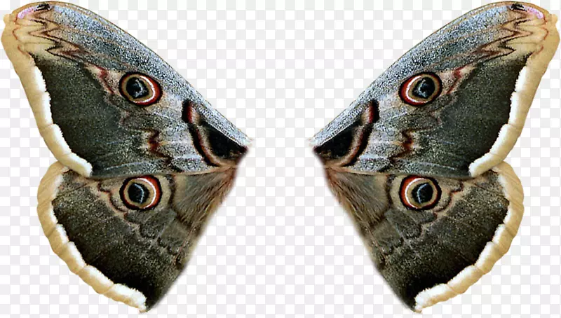 �ɶ���������Ƭ-����-������