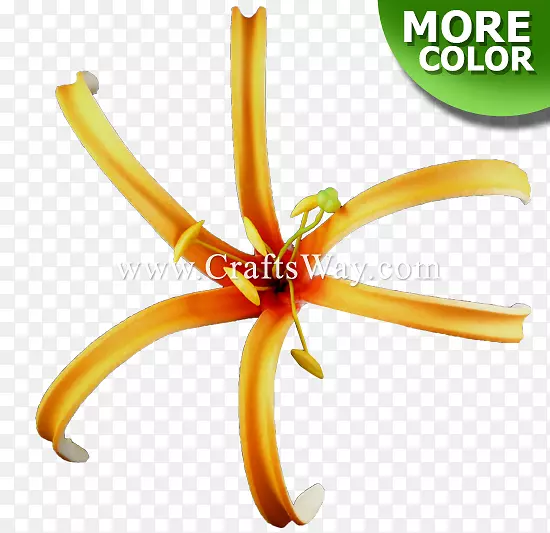 �����鱦����-������