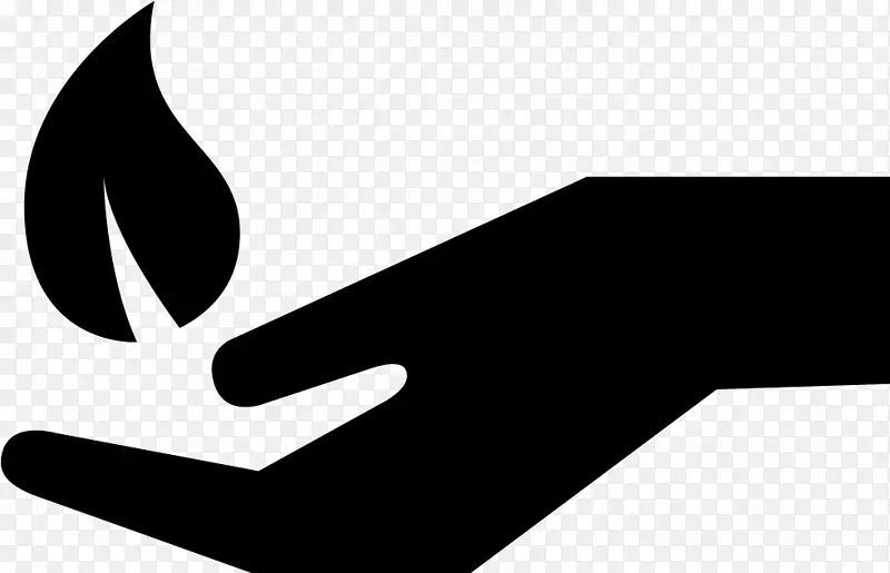 ��־Ʒ����ָ�������-������