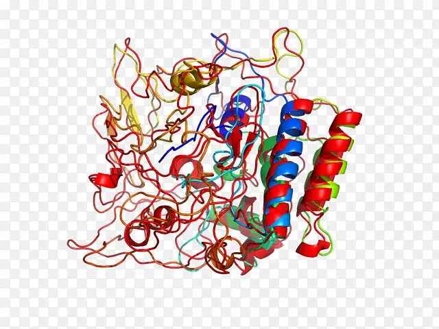 ʳƷ������������-������