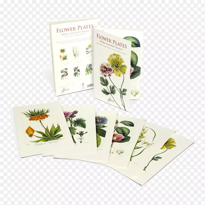 abc�������Ӱֲ��ѧ-������