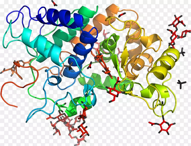 �ߵ������������-������