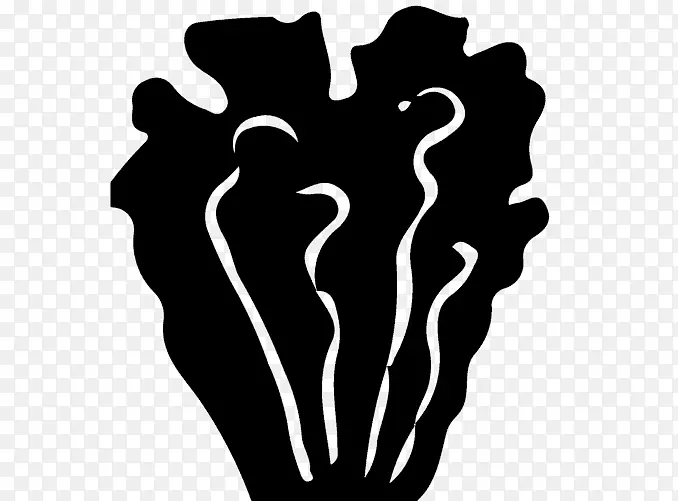 Ĵָ��������-������