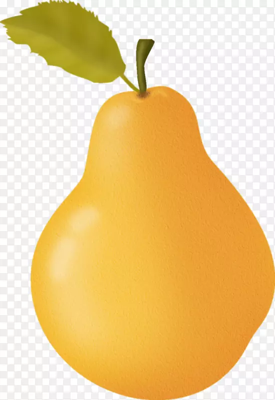 ŷ����-������