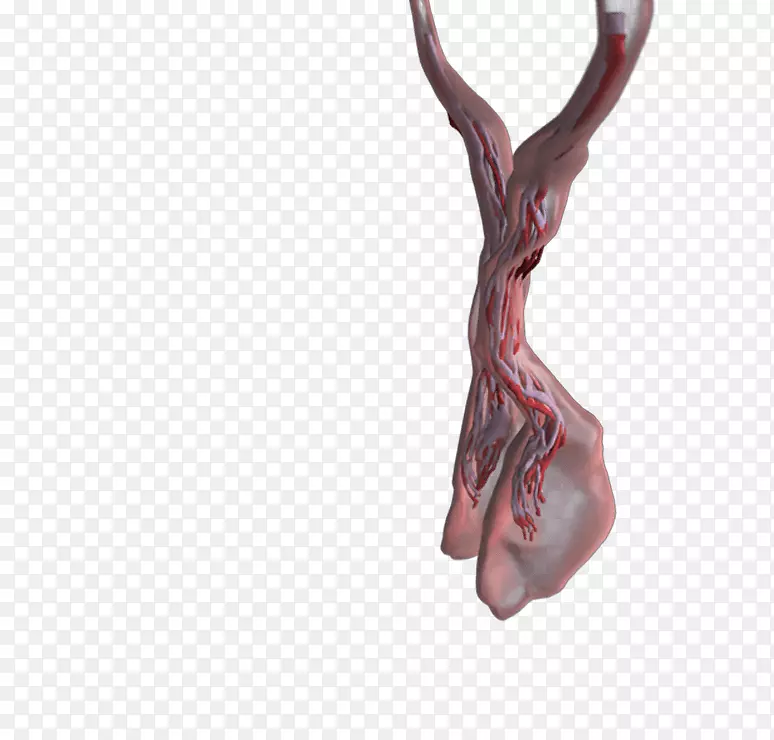 ��ָ����-������