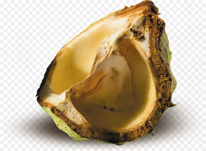 ŷ��������-������