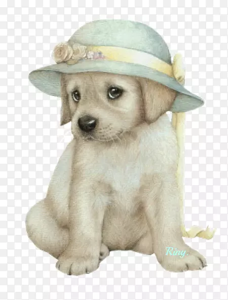 ����С��-����-������