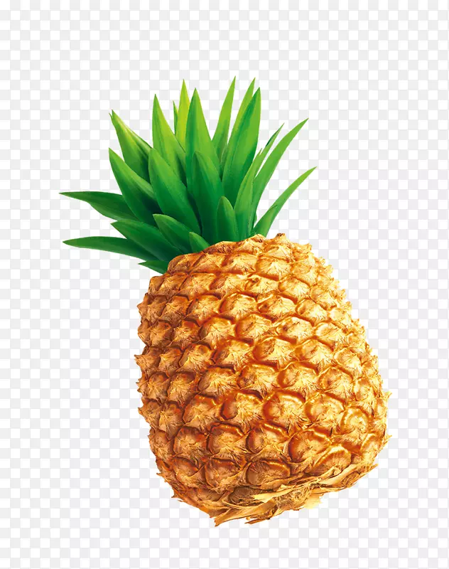 ��������-���˵Ĳ���-������