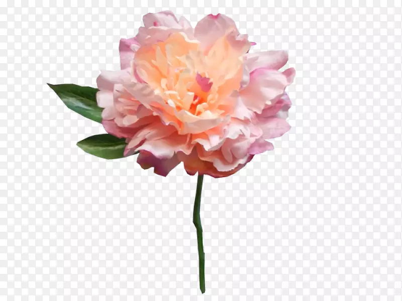 ĵ�������컨�л�-ĵ��-������