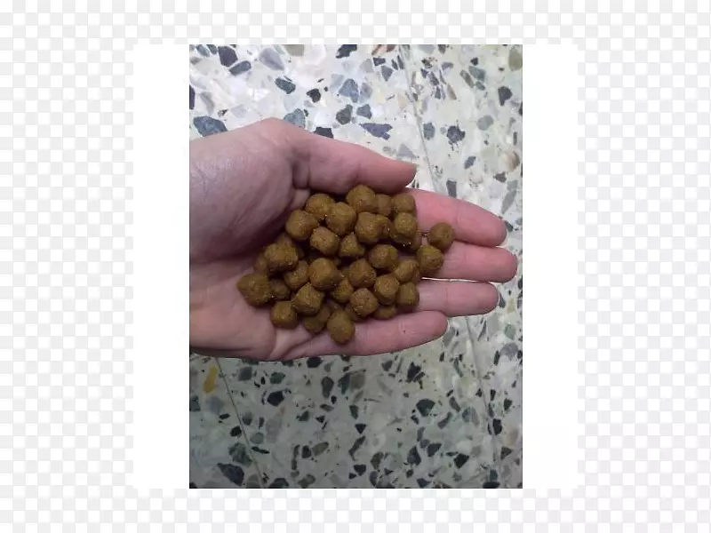 ��ָ-������