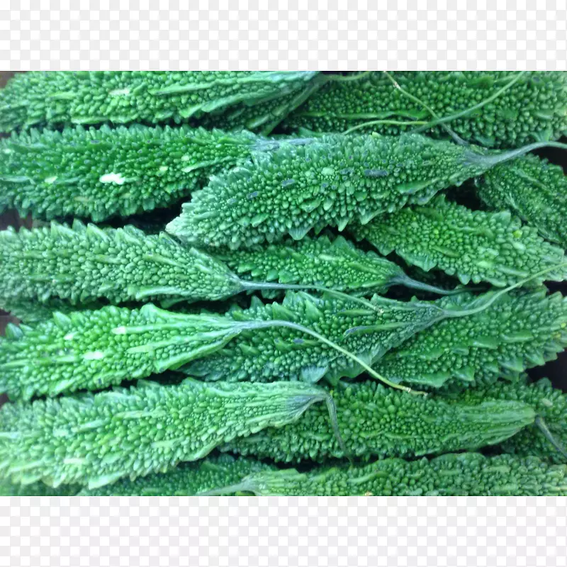 ��ϵر���ƺ�ݿ��-������