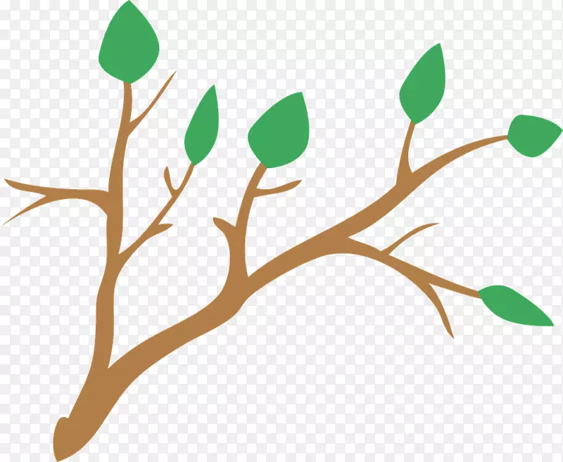 ��֦��Ҷ��-������