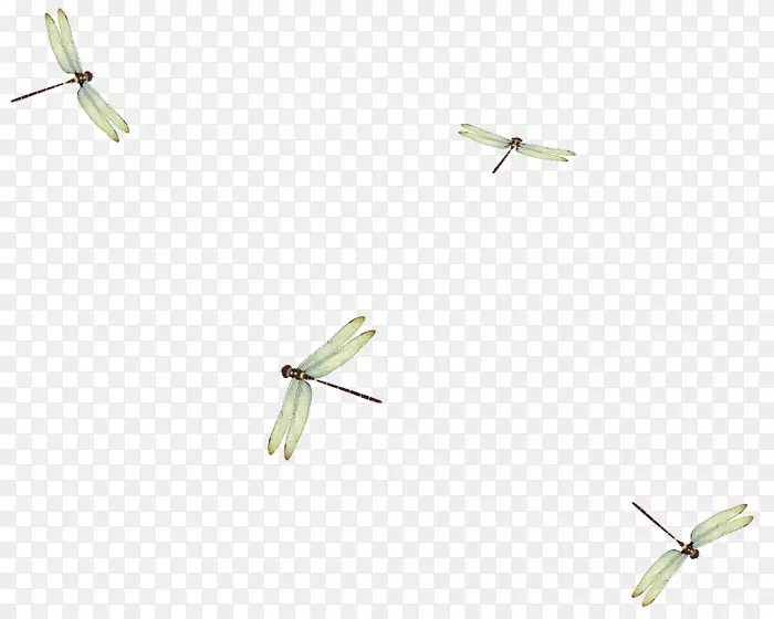 �����ƽ�����������-������