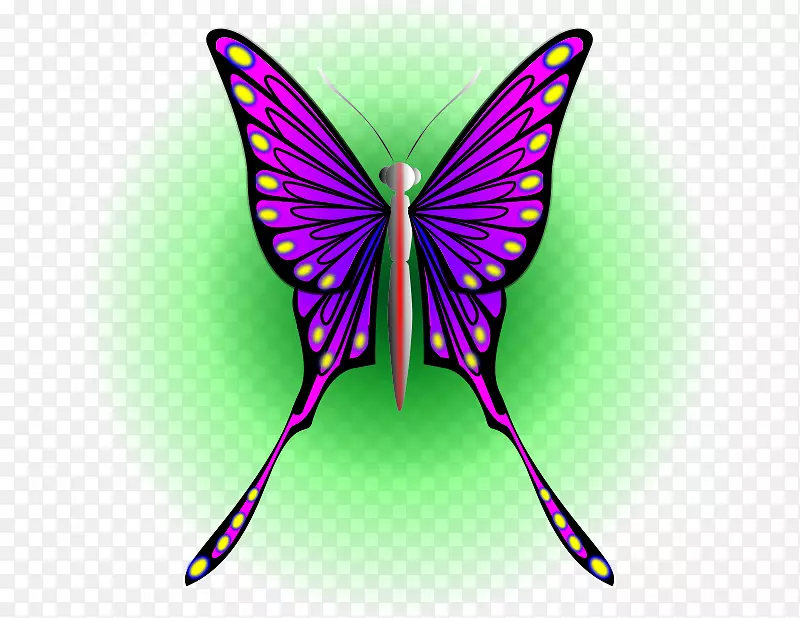 ������������ɶ������-����-������