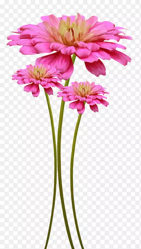 ������Ƽ�����-����-������