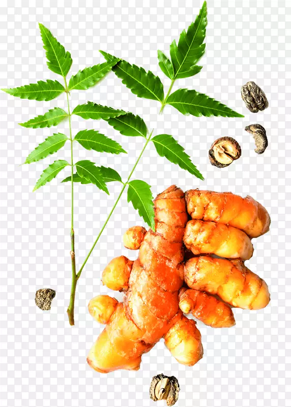 ϲ������ɽҩ�����ȶ�Τ��۴̽�������Ʒ-����-������