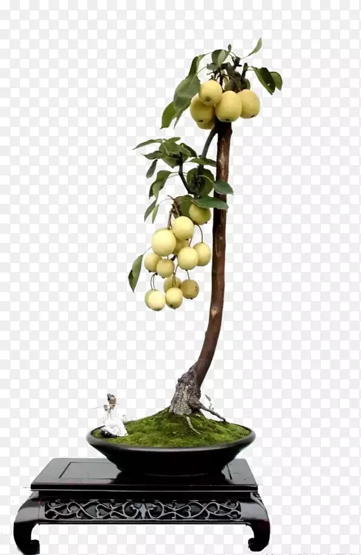 ���������辰-������