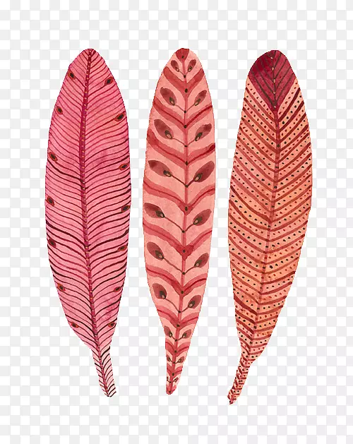 ˮ�ʻ�-��ë-������