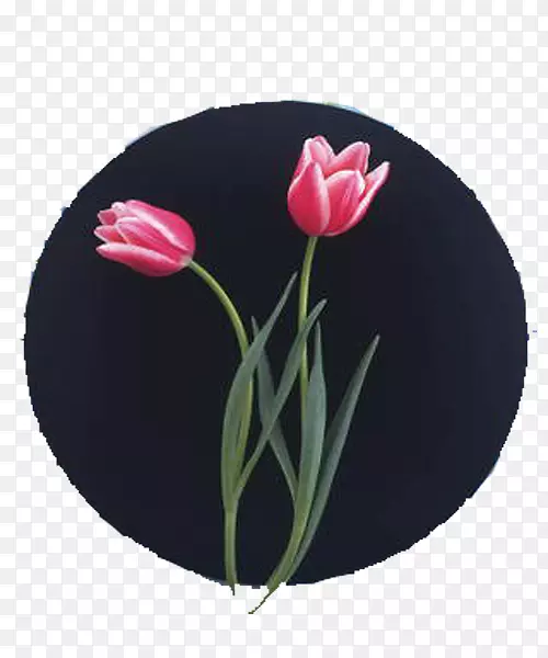 ������ۺ�-�����㻭-������