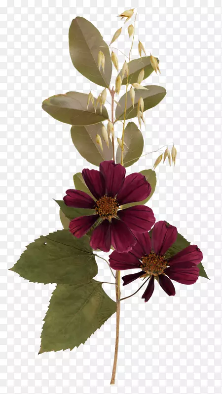 �廨����-������