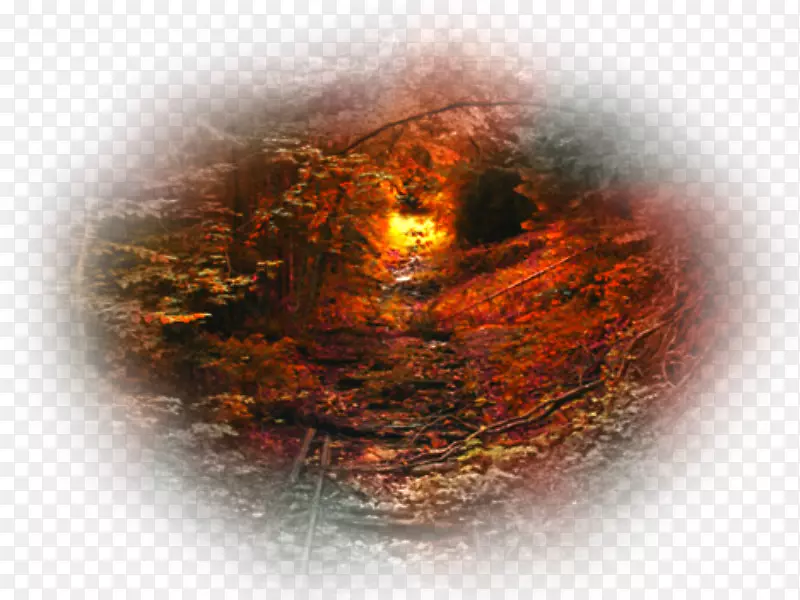 �＾�����ֽͼ���ļ���ʽ-�＾-������