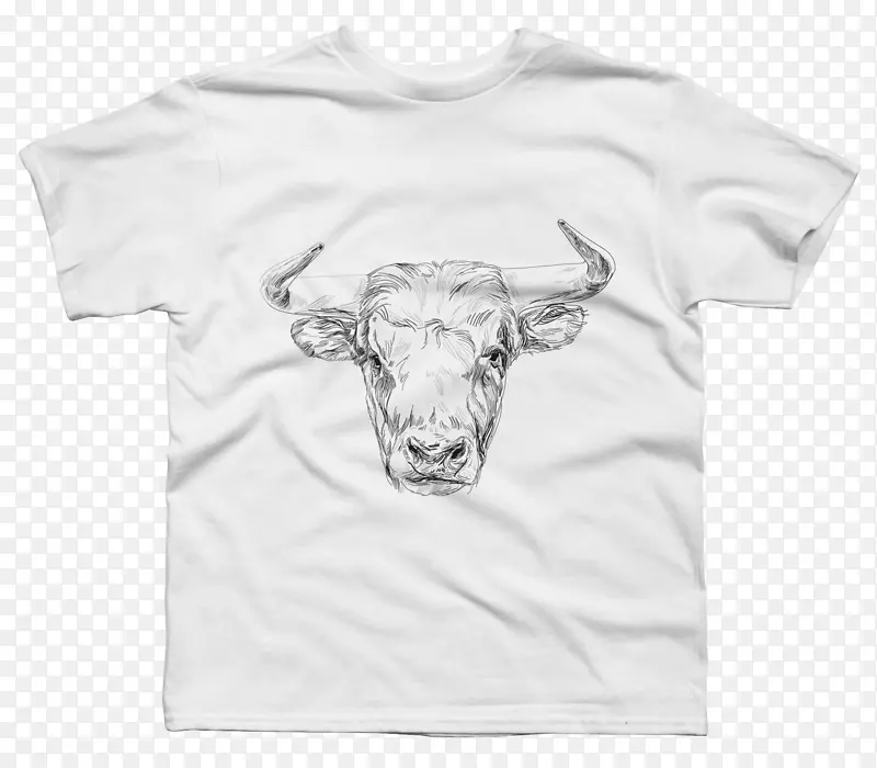 ӡ��t����װ������t��-������