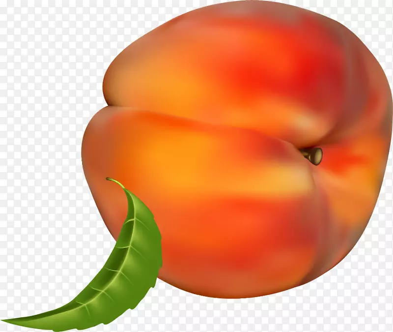 ��������ƻ��ɳ��-����-������