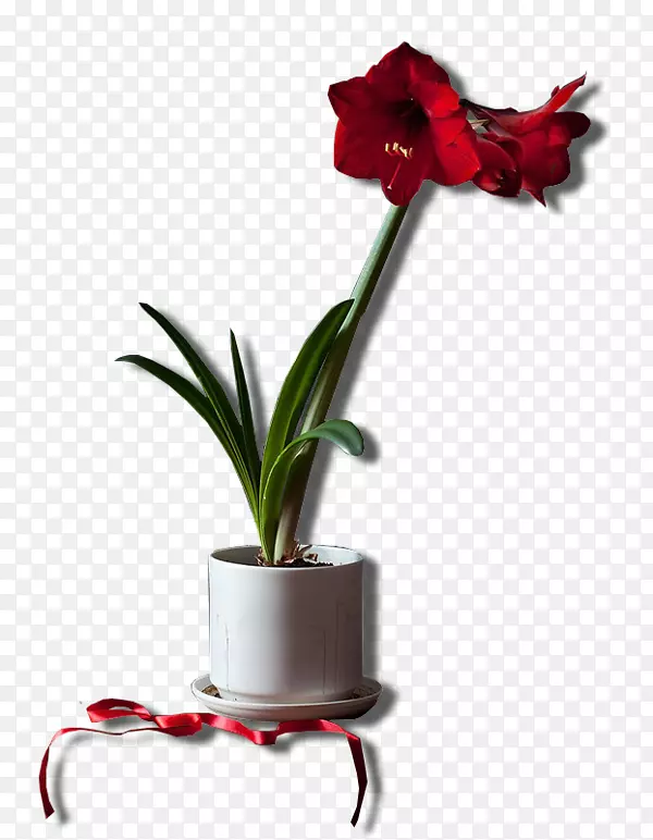 ������-��-������