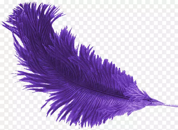 ��ë��ɫɣë-������