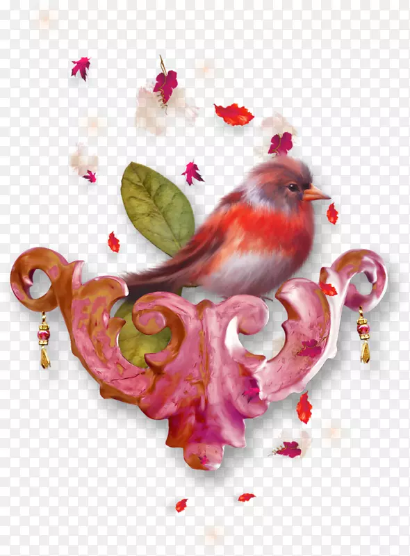 �񲩿�-��-������