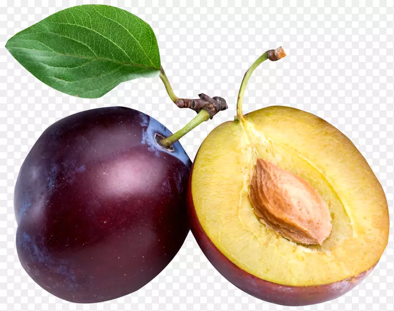 ��ͨ��ɹ�Ӫ��-����PNG֦Ҷ-������