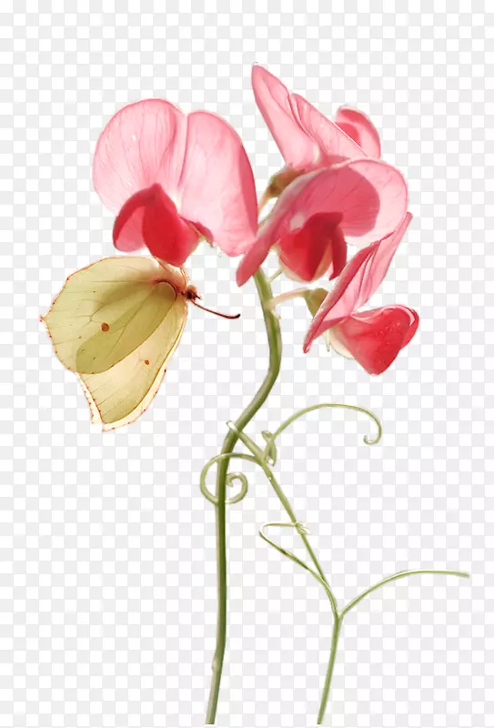 �ɶ����л�ѿֲ�ﾥ��-������