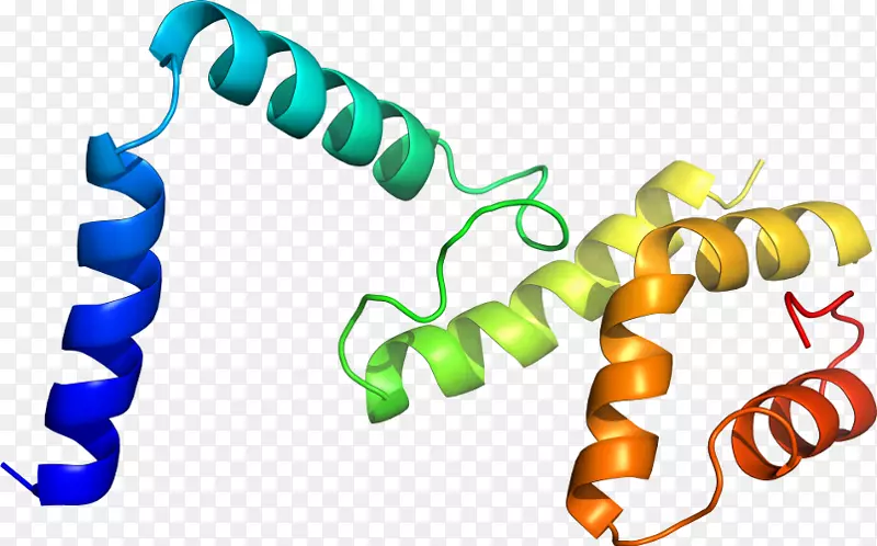 �ߵ������������-������