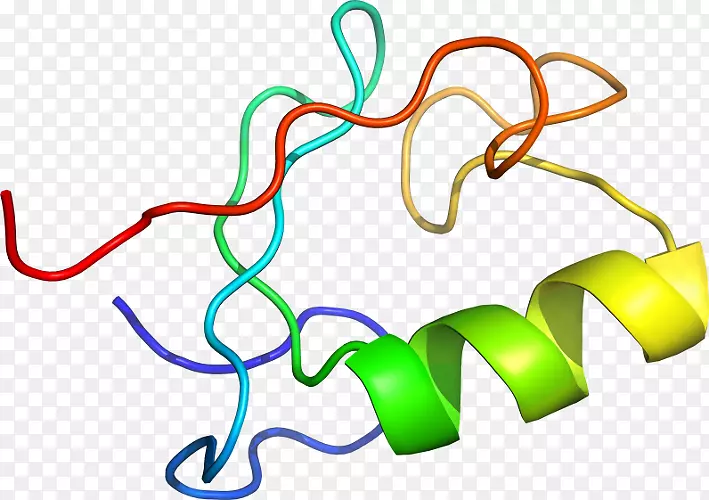 �ߵ������-��-������