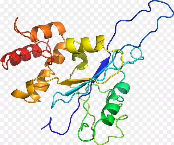 �����߶����������-������