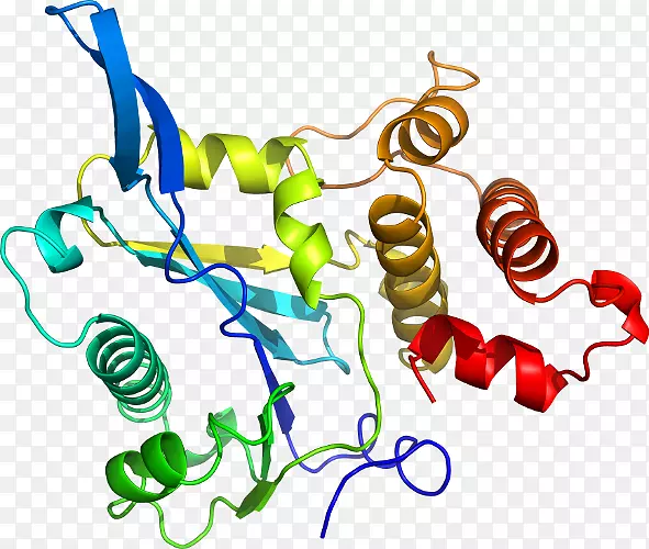 �ߵ������������-������