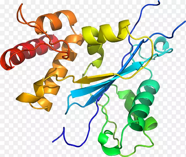 ���������л����߼�������-������