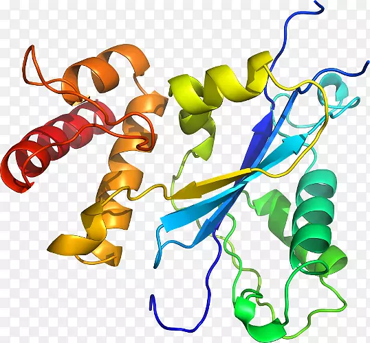 ���������л����߼�������-������