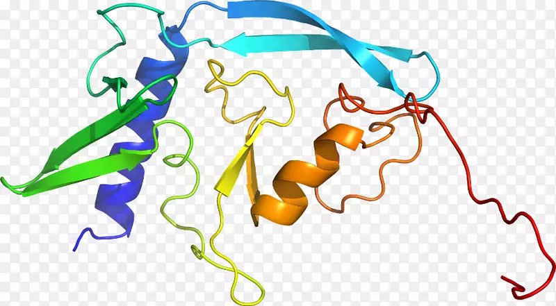 �ߵ������-��-������