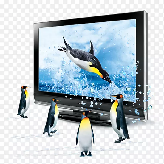 ����Һ���������ܵ��Ӹ������-������