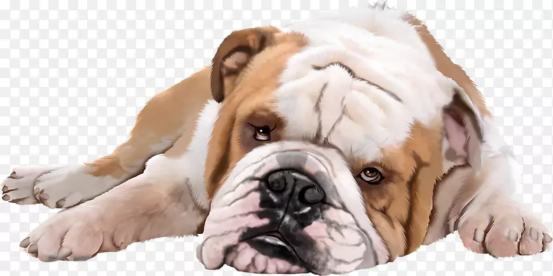 С�����ﹷ-������