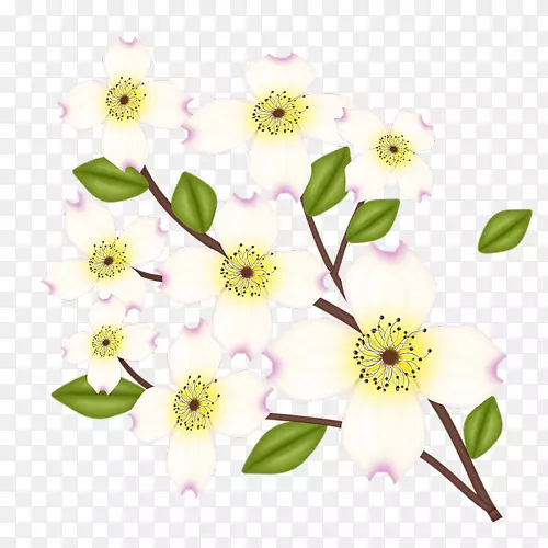 õ�廨�����-������