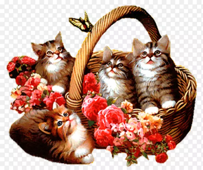 ����ͼ�궯�������ֽ����-������