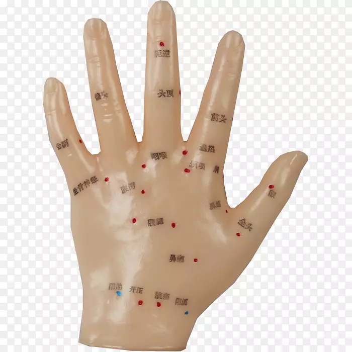 Ĵָ��ģ��������-������