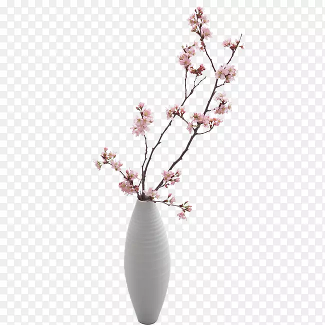 ��ƿ-������