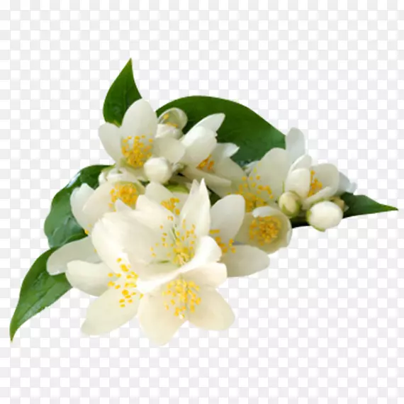 ����������-������