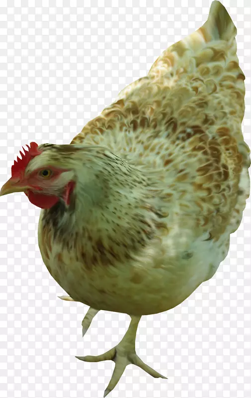 ��������é˹�Ҽ�������-������